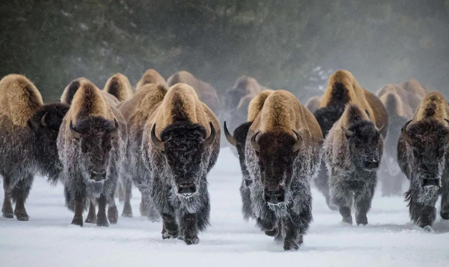 昌邑兴昌机械有限公司轮播图2